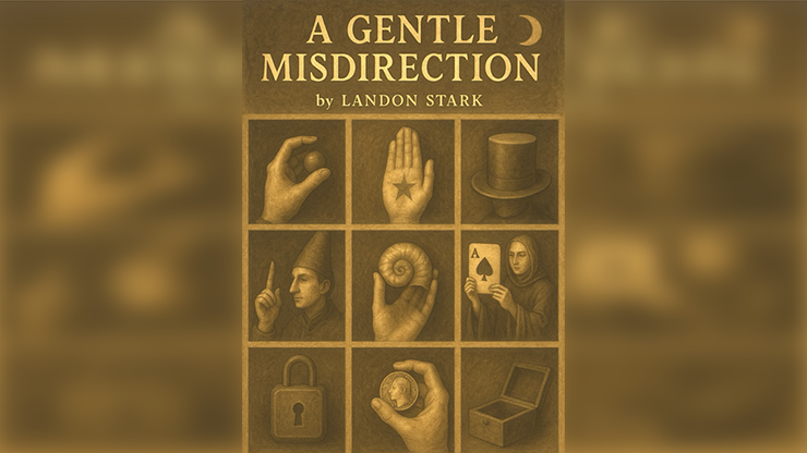 (image for) A Gentle Misdirection by Landon Stark eBook DOWNLOAD