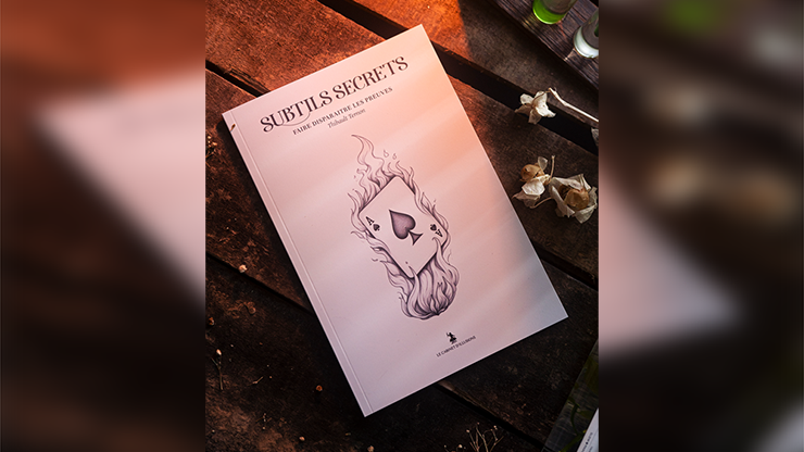 (image for) Subtle Secrets 1 by Thibault Ternon