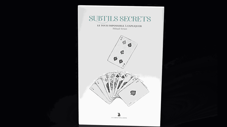 (image for) Subtle Secrets 2 by Thibault Ternon