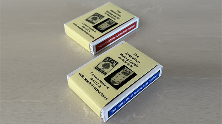 (image for) Executive Rising Cards (Blue)