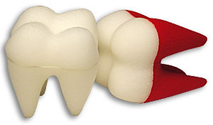 (image for) Foam Tooth 4 1/2" Goshman (White)