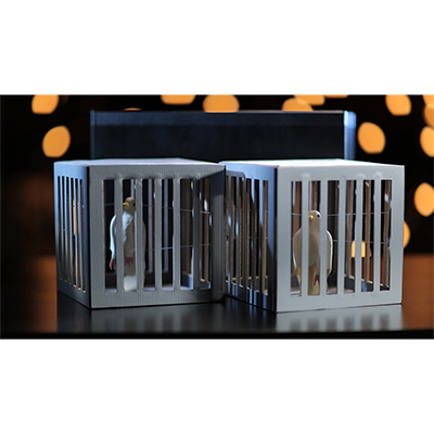(image for) Amazing Cages from Frame by Tora Magic - Trick - Click Image to Close