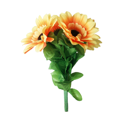 (image for) Amazing Split Sunflower by Premium Magic - Trick - Click Image to Close