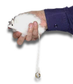 (image for) Tail of The Ring by Bazar de Magia - Trick - Click Image to Close