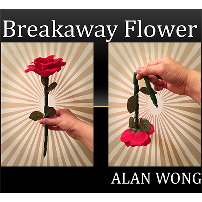 (image for) The Breakaway Flower by Alan Wong - Trick - Click Image to Close
