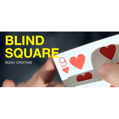 (image for) Blind Square by Bizau Cristian video DOWNLOAD - Click Image to Close