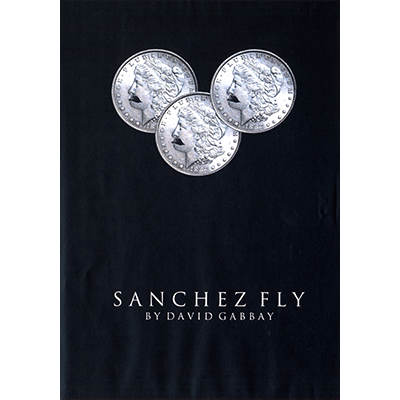 (image for) Sanchez Fly by David Gabbay - video - DOWNLOAD - Click Image to Close