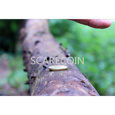 (image for) Scare Coin by Arnel Renegado - Video DOWNLOAD - Click Image to Close