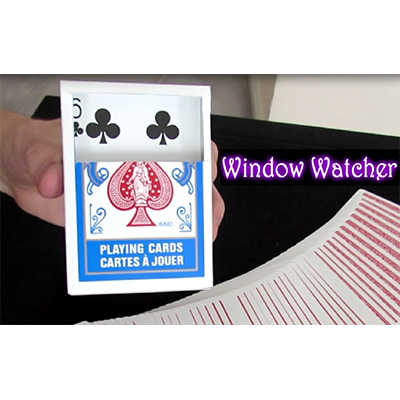 (image for) Window Watcher by Aaron Plener - Video DOWNLOAD - Click Image to Close