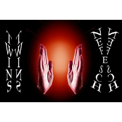 (image for) Twins by Nefesch eBook DOWNLOAD - Click Image to Close