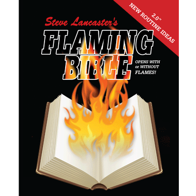 (image for) Flaming Book (bible) - Click Image to Close