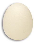 (image for) Foam Egg ( 1 egg is 1 unit) Goshman