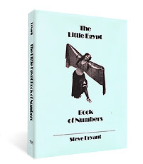 (image for) Little Egypt Book of Numbers by Steve Bryant - Book