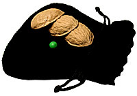 (image for) Magnetic Street Shells