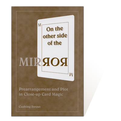 (image for) On the Other Side of the Mirror by Cushing Strout - Book - Click Image to Close