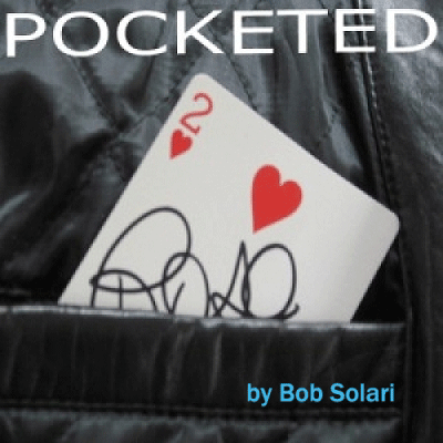 (image for) Pocketed by Bob Solari