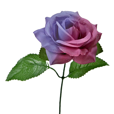 (image for) The Real Color Changing Flower by JL Magic - Trick - Click Image to Close