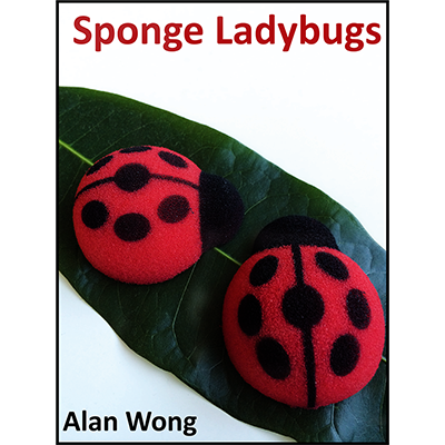 (image for) Sponge Lady Bugs by Alan Wong - Trick - Click Image to Close