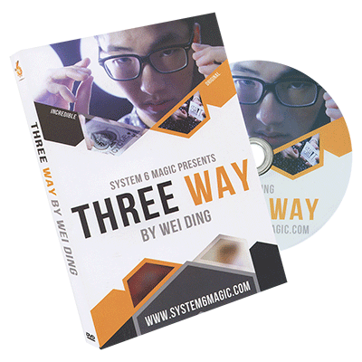 (image for) Three Way by Wei Ding & system 6 - DVD - Click Image to Close