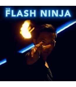 (image for) Flash Ninja - Click Image to Close