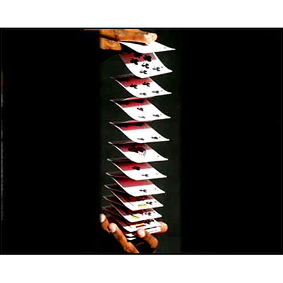 (image for) Accordion Cards By Uday by Uday - Trick