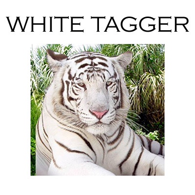 (image for) White Tagger by James Biss - Trick