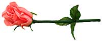 (image for) Wilting Rose - Trick