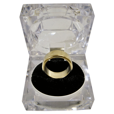 (image for) Wizard PK Ring Original (FLAT, GOLD, 16mm) by World Magic Shop - Trick - Click Image to Close