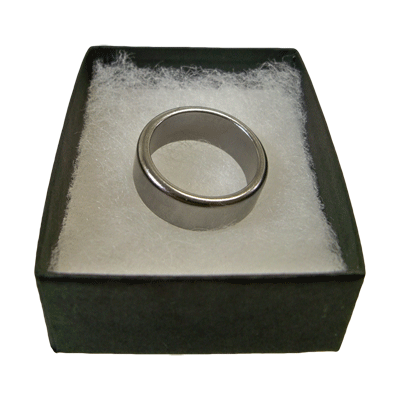 (image for) Wizard PK Ring Original (FLAT, SILVER, 16mm) by World Magic Shop - Trick - Click Image to Close